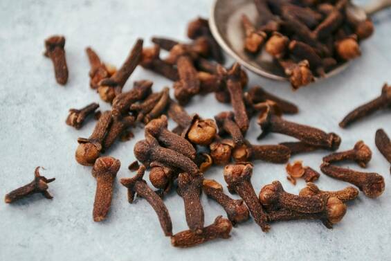 Close-up of Cloves Scattered on Gray Surface